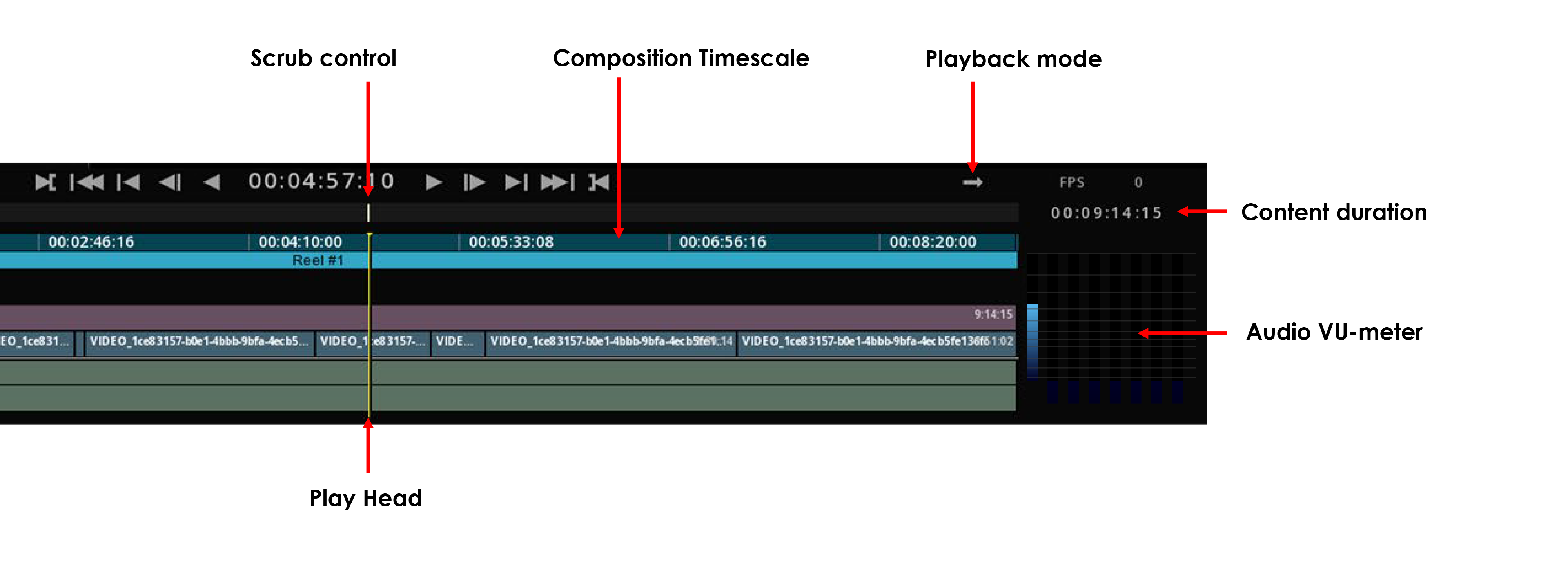 Timeline