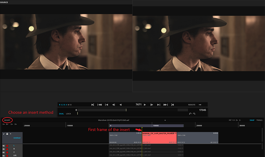 Dual Viewport