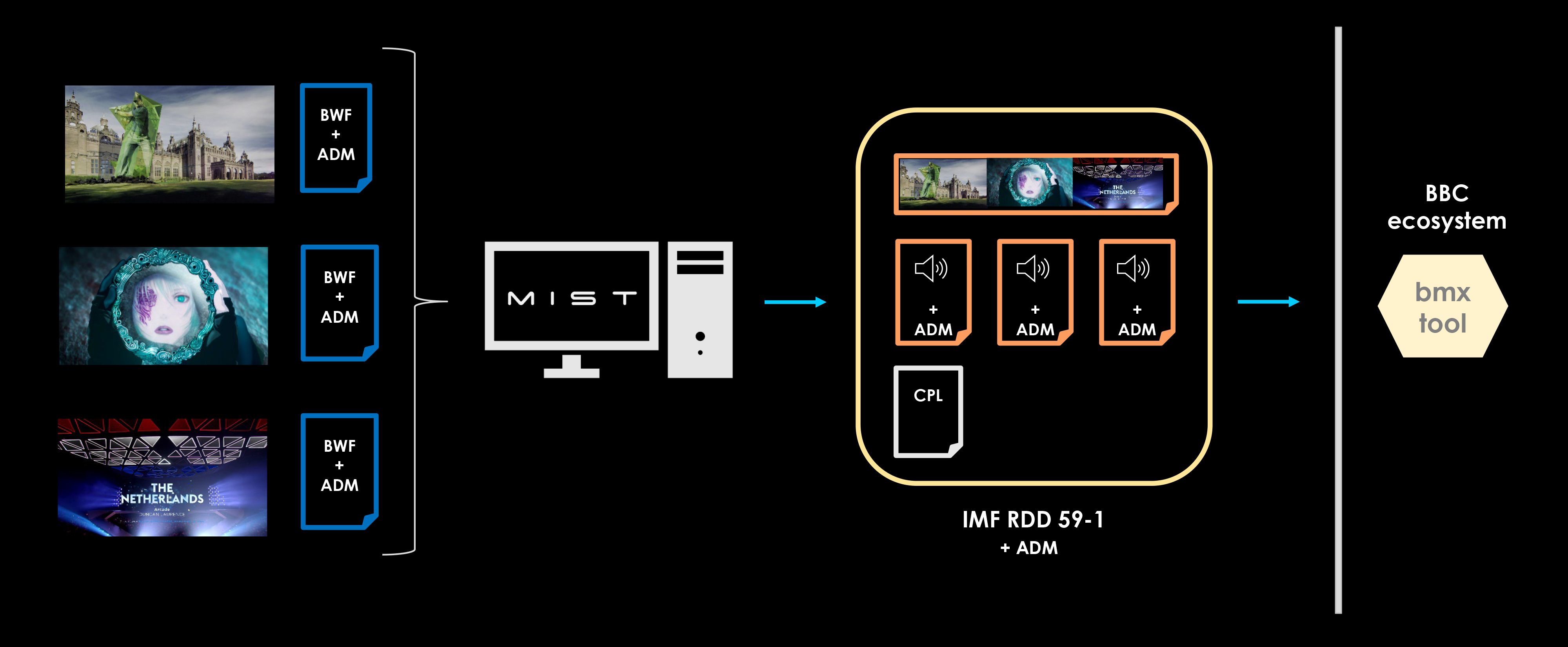 IMF_BBC-13